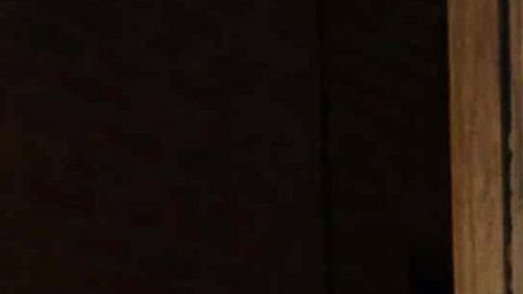 Adamari López y Toni Costa.