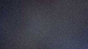 El Ajax de Amsterdam, favorito a ganar su Liga una vez más.