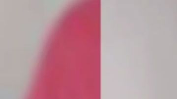 Alan Kaleb Pardo la Rosa de Guadalupe