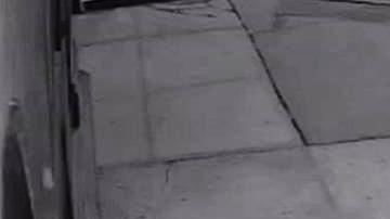 Los dos sospechosos llevan el cadáver en un carrito de automercado