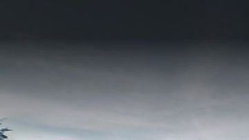 Alley Pond Park, Queens