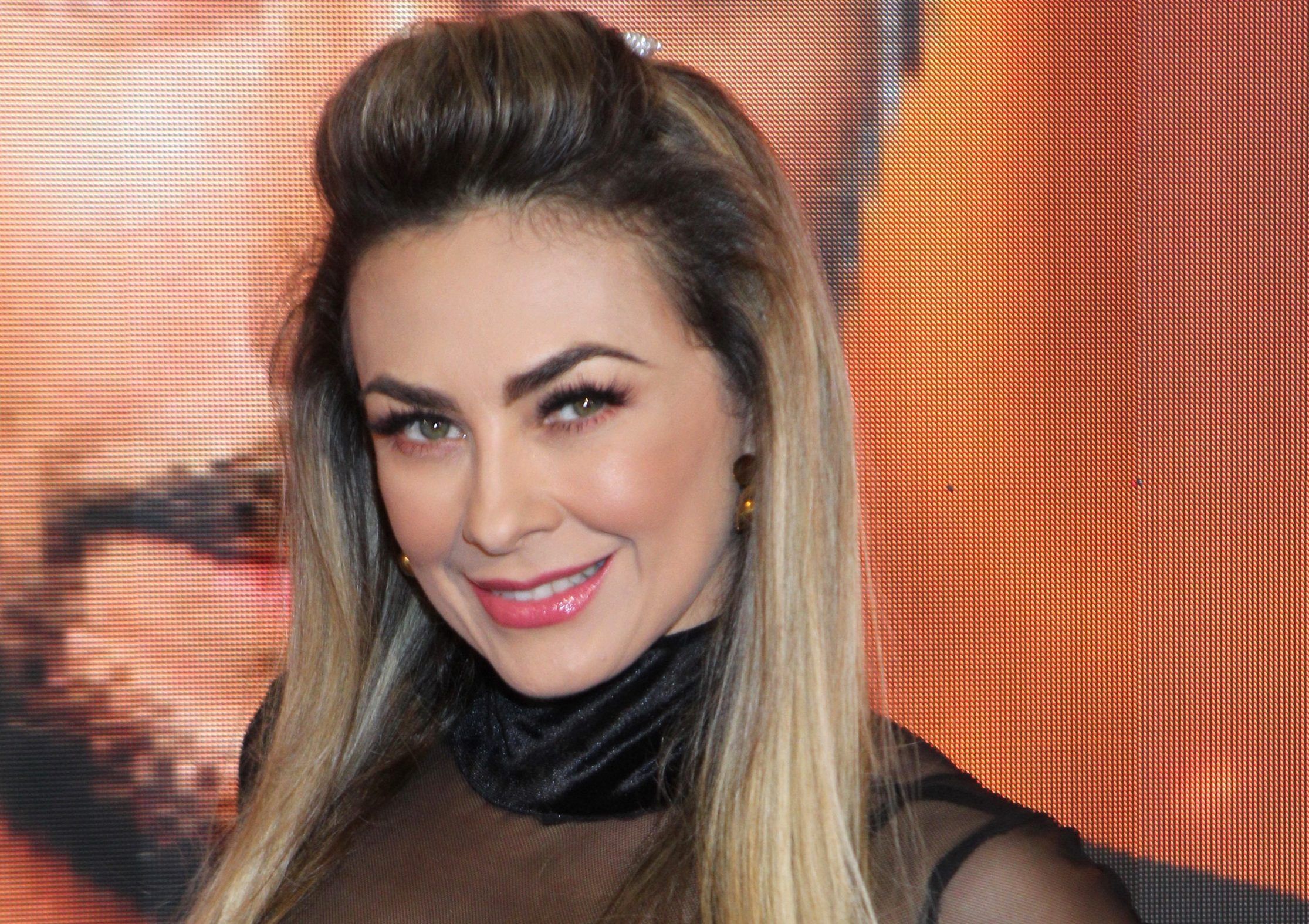 Aracely Arambula Fakes