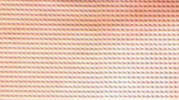 Aracely Arámbula a sus 44 años.