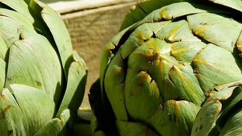 entre las principales propiedades de este remedio natural se encuentran sus beneficios: digestivos, excesos de ácido úrico, gota, reumas, cálculos en la vesícula biliar y padecimientos renales.