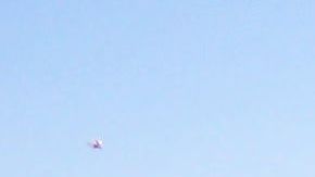 El medio ambiente sufre con Trump.