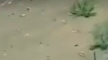 Las autodefensas pelean contra narcotraficantes sin darles tregua.