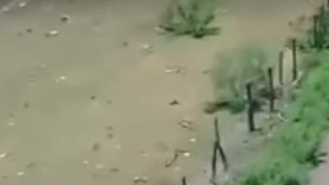 Las autodefensas pelean contra narcotraficantes sin darles tregua.