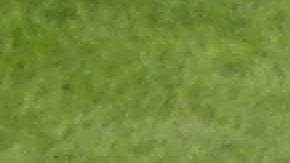 Alfonso Márquez (der) con su equipo de trabajo en el Wrigley Field de Chicago. (Javier Quiroz / La Raza)