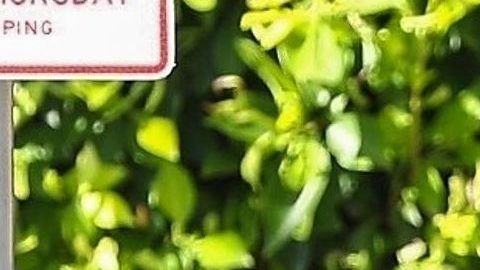 Camila Cabello en LA