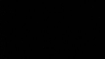 Los Bravos de Atlanta mostraron la mejor cara de la Major League Baseball.