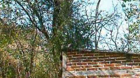 La finca ubica en el pueblo El Agostadero, en el municipio de Pihuamo.