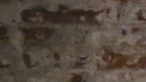 Conducido por el chef Aarón Sánchez (izq),  el panel  incluyó a la chef Claudette Zepeda, el Chef Thomas Ortega, Bill Esparza, autor y escritor de comida, y al mixólogo Alex Valencia./Cortesía Cacique Inc.