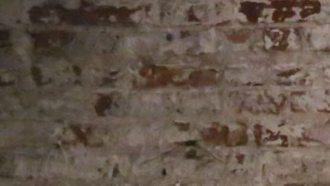 Conducido por el chef Aarón Sánchez (izq),  el panel  incluyó a la chef Claudette Zepeda, el Chef Thomas Ortega, Bill Esparza, autor y escritor de comida, y al mixólogo Alex Valencia./Cortesía Cacique Inc.