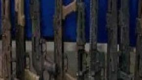 Cae la Shakira con todo un arsenal