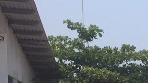 Caen 70 hombres ligados al narcotráfico antes de enfrentarse a grupo rival en Guerrero