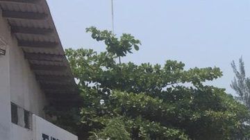 Caen 70 hombres ligados al narcotráfico antes de enfrentarse a grupo rival en Guerrero