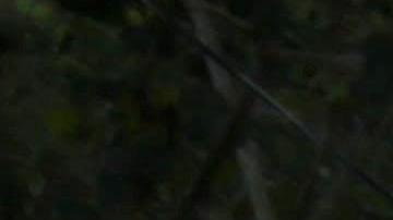 La nueva caravana inició este miércoles su recorrido desde el norte de Honduras.