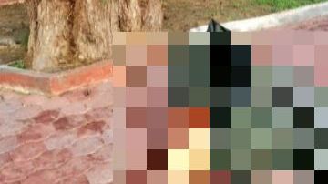 Cártel del Golfo deja descuartizados y aterrador mensaje cerca de la frontera