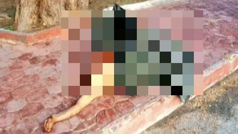 Cártel del Golfo deja descuartizados y aterrador mensaje cerca de la frontera