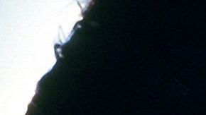 María rubio como Catalina Creel.