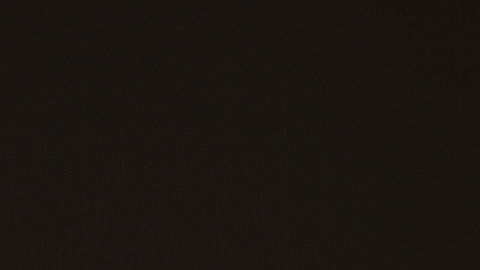 cell-phone-690192_1920