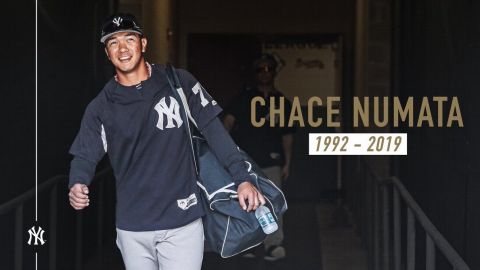 Chace Numata