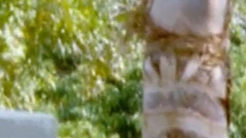 Chiquis Rivera y Lorenzo Méndez