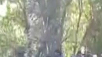 VIDEO: Grupo Pantera del CJNG amenaza a El Marro, aseguran que se apoderarán de Guanajuato