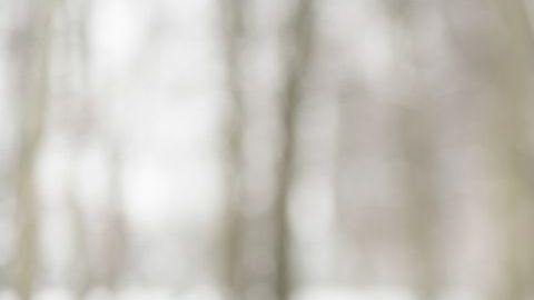 Los episodios de tristeza y depresión se incrementan en las personas sensibles a los días sin fuerte luz solar o a los de calor extremo.