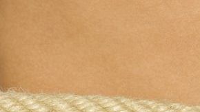 Esta comprobado que la alimentación juega un papel indispensable para combatir la anemia y el estreñimiento, es de vital importancia priorizar el consumo de frutas, verduras, legumbres y mantener los niveles de hidratación óptimos.