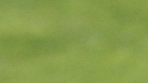 Los dos cracks portugueses se han reunido para conseguir el objetivo: clasificar a la Euro 2020.