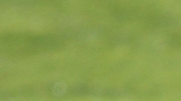 Los dos cracks portugueses se han reunido para conseguir el objetivo: clasificar a la Euro 2020.