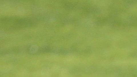 Los dos cracks portugueses se han reunido para conseguir el objetivo: clasificar a la Euro 2020.