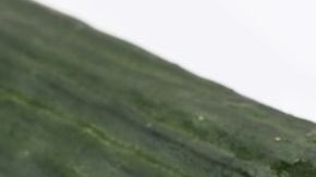 cucumber-685704_1280