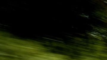 Volkswagen reemplazará motores de Bleetles por motores eléctricos. Los nombrará e-Beetle.