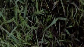 De terror, sicarios le arrancan el rostro a joven y abandonan el cuerpo al Norte de México