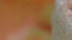 Ofrecer hamburguesas en las mañanas podría afectar la calidad del servicio.