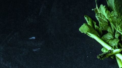 Los rábanos destacan por su alto contenido en vitamina A, C, zinc, fósforo y agua, por su parte el jugo de rábano promueve una piel más saludable e hidratada.