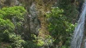 Doña Male es una fiel seguidora de 'La Franja'.