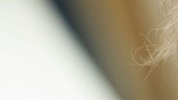 Los demócratas quieren que apoye leyes aprobadas en la Cámara de Representantes.