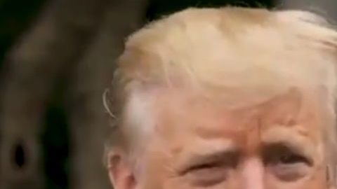 El presidente acusa a los demócratas de boicotear su proyecto del muro.