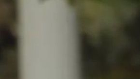 El presidente Trump acusó a los demócratas de querer "detenerlo".