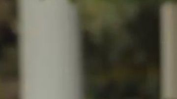 El presidente Trump acusó a los demócratas de querer "detenerlo".