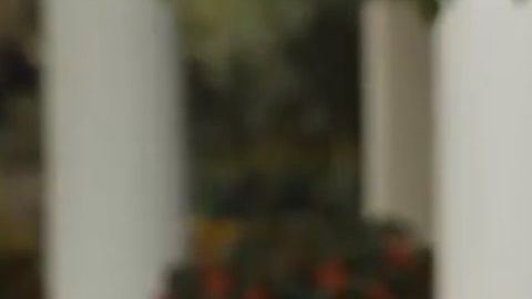 El presidente Trump acusó a los demócratas de querer "detenerlo".