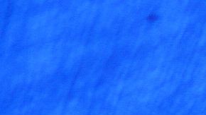 El nuevo refugio recibió ayuda de la comunidad para poder edificarse.