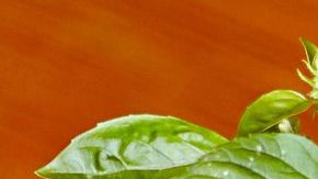 La gelatina aporta minerales esenciales como selenio, fósforo y cobre, los cuales favorecen el aumento de la densidad ósea, lo que ayuda a mantener huesos fuertes y previene la aparición de osteoporosis. Otro maravilloso aporte es sus potentes aminoácidos, que influyen reduciendo la inflamación en articulaciones.