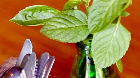 La gelatina aporta minerales esenciales como selenio, fósforo y cobre, los cuales favorecen el aumento de la densidad ósea, lo que ayuda a mantener huesos fuertes y previene la aparición de osteoporosis. Otro maravilloso aporte es sus potentes aminoácidos, que influyen reduciendo la inflamación en articulaciones.