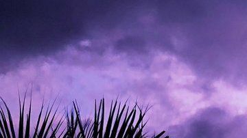 El cielo púrpura en Florida.