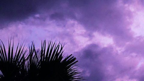 El cielo púrpura en Florida.
