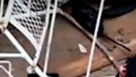 Las imágenes fueron tomadas por las propias autoridades.